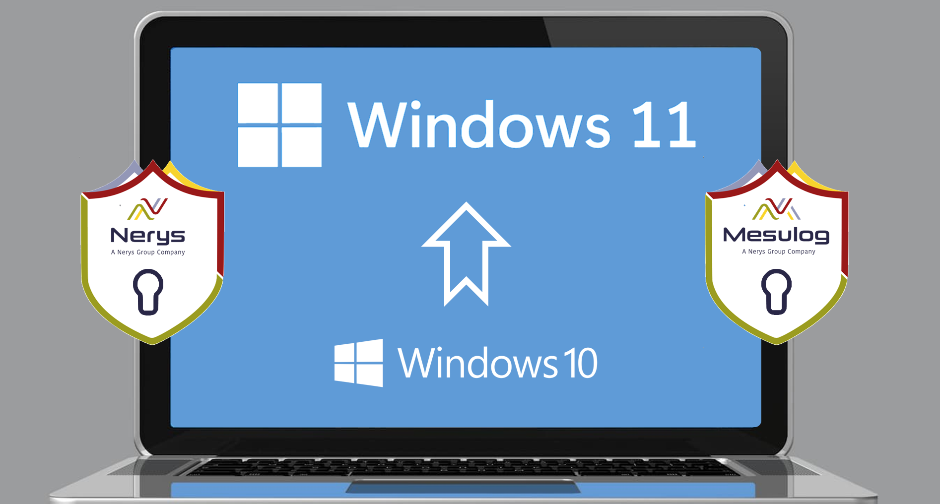 windows 11
