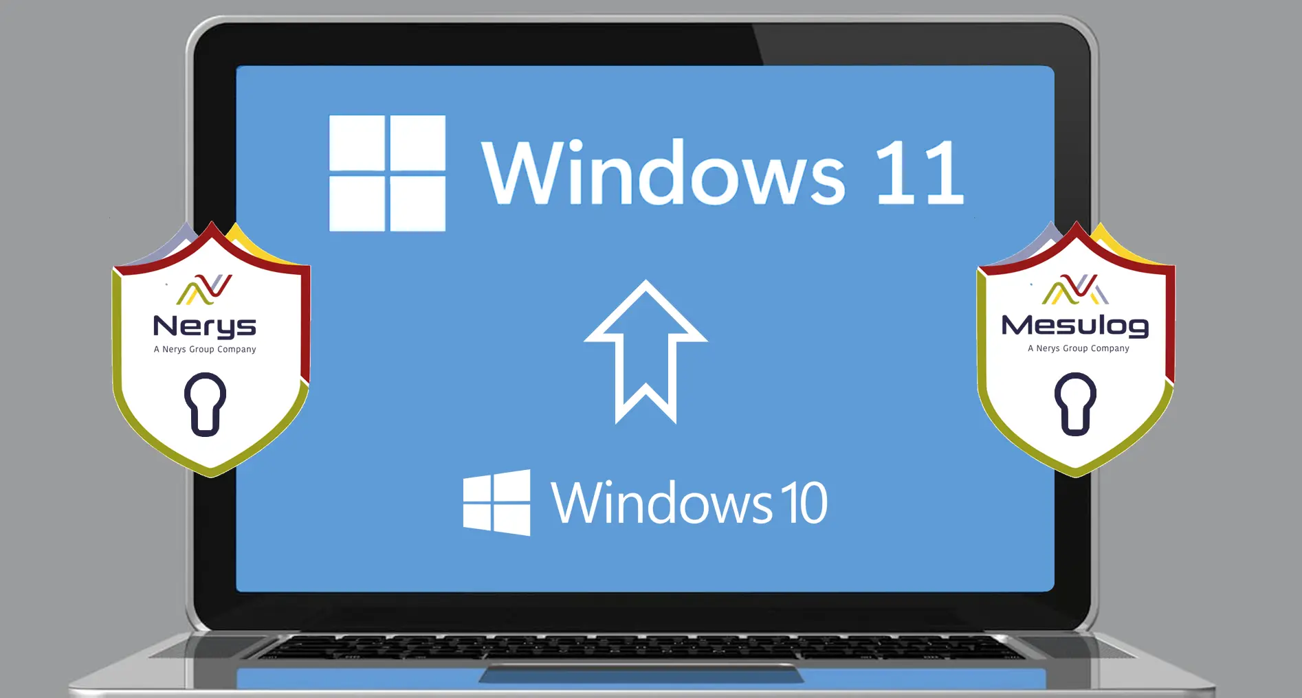 windows 11